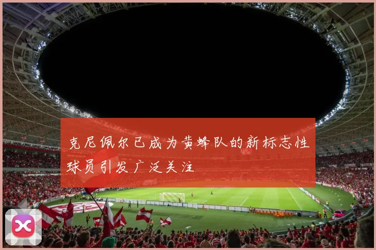 克尼佩尔已成为黄蜂队的新标志性球员引发广泛关注