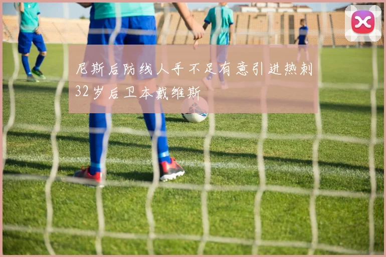 尼斯后防线人手不足有意引进热刺32岁后卫本戴维斯