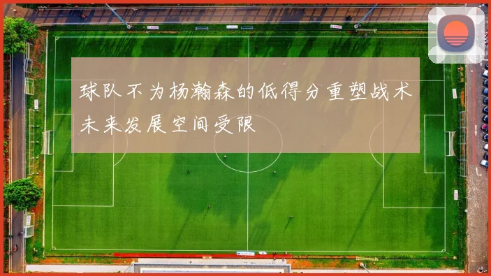 球队不为杨瀚森的低得分重塑战术未来发展空间受限