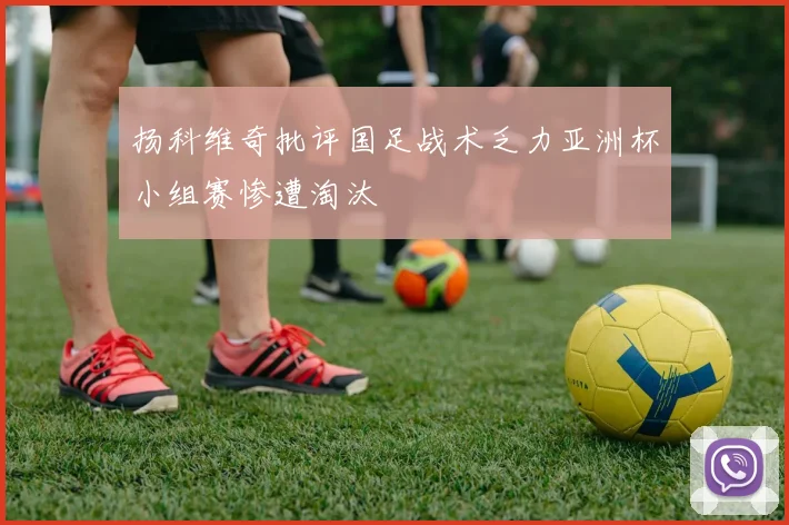 扬科维奇批评国足战术乏力亚洲杯小组赛惨遭淘汰